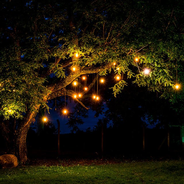 Can you keep outdoor tree lights on throughout the year?