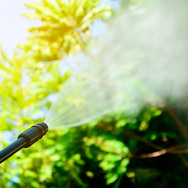 Washing Trees With Pressure Washers